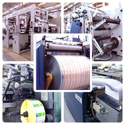 Shorouq Factory Photos